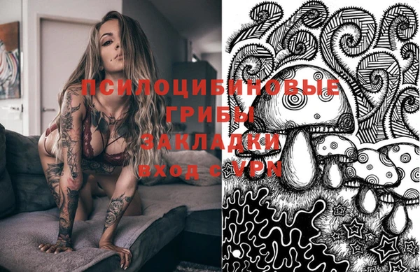 стаф Дмитровск