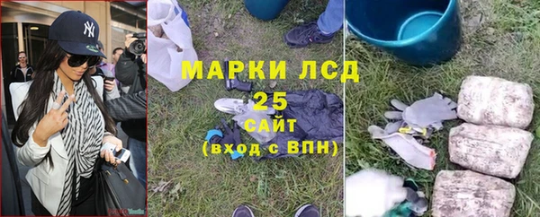 стаф Дмитровск