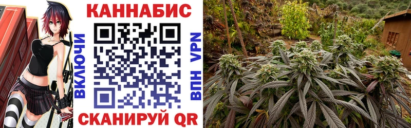 Купить  Александровск  Шишки марихуана сатива 